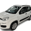 Fiat Panda 0.9 TwinAir Turbo Natural Power Easy usato Gori Group Grosseto Toscana Italia