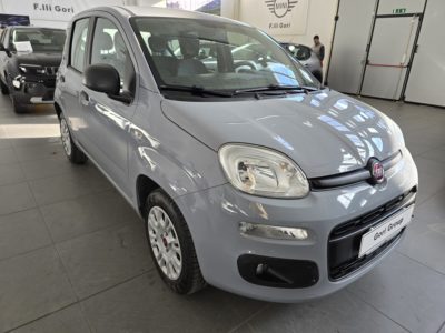 Fiat Panda 1.2 Easy Usato Gori Group Grosseto Toscana Italia