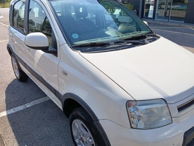 Fiat Panda 4x4 Usato Gori Group Grosseto Toscana Italia